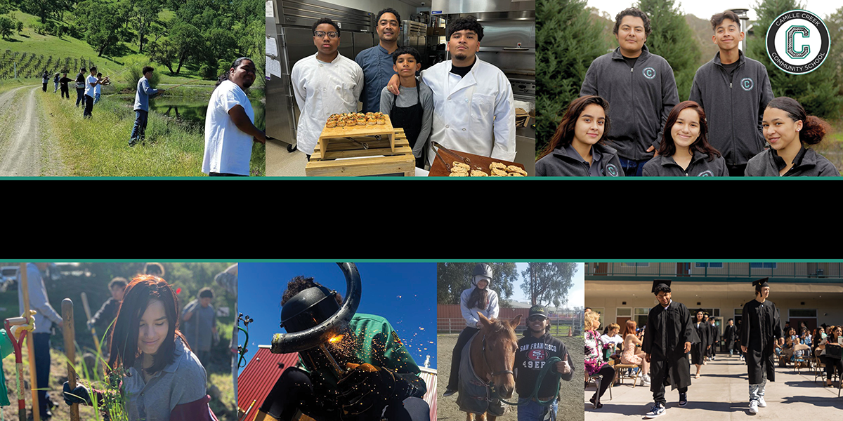 Explore Camille Creek